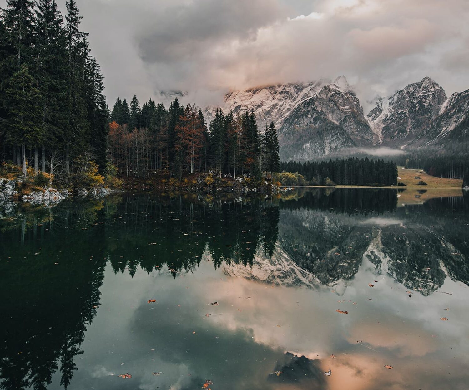 nature quotes Angie Weiland-Crosby