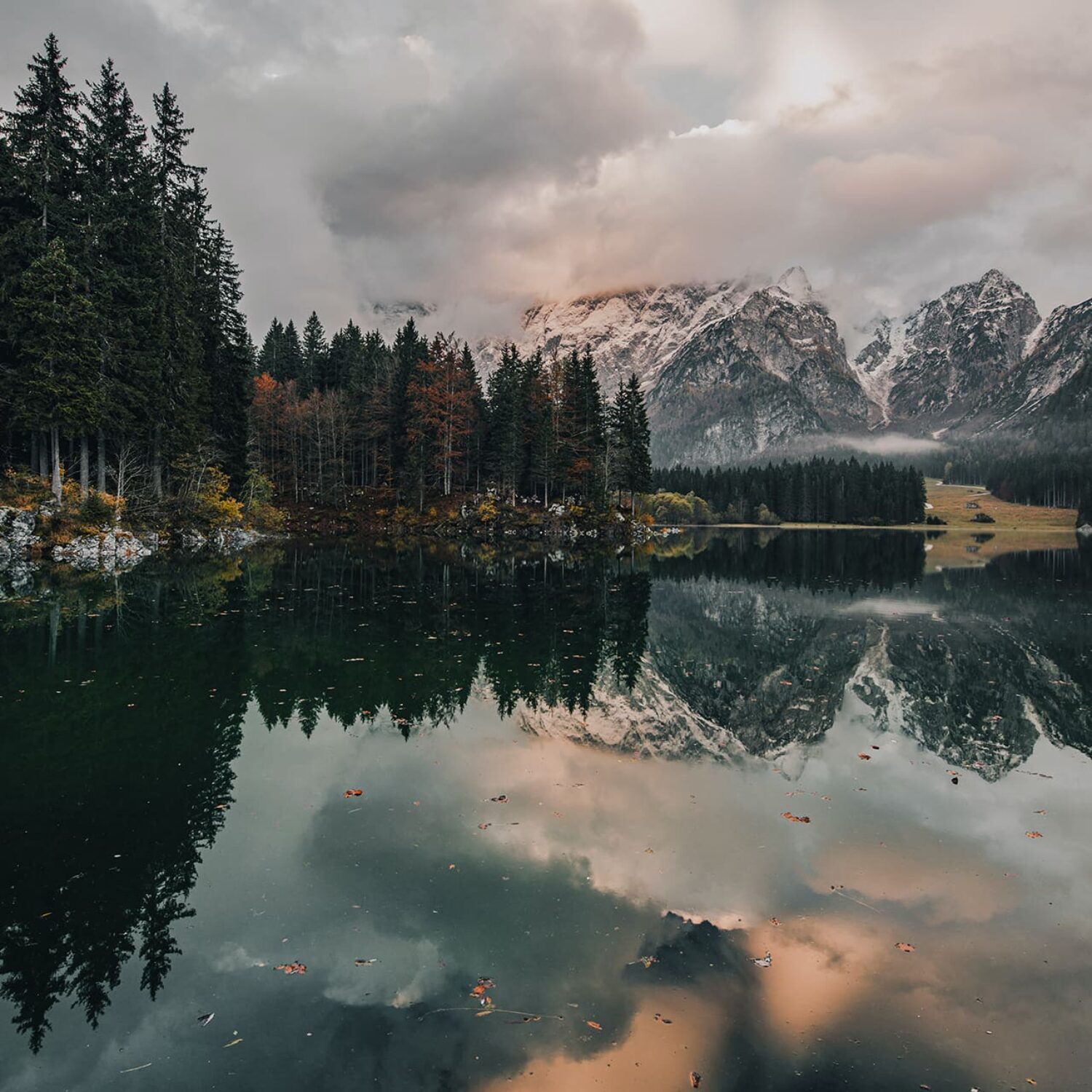 nature quotes Angie Weiland-Crosby