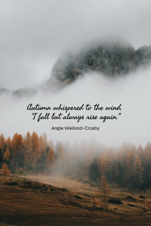 Autumn whispered to the wind, I fall but always rise again
