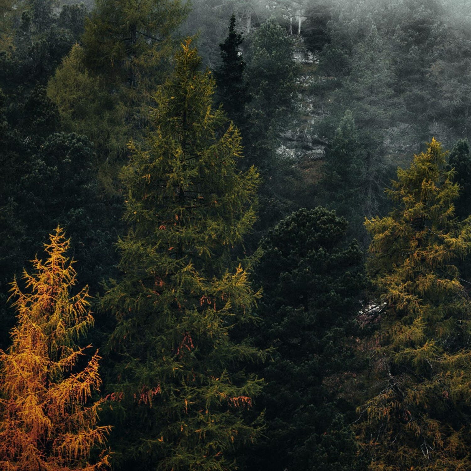 autumn quotes Angie Weiland-Crosby