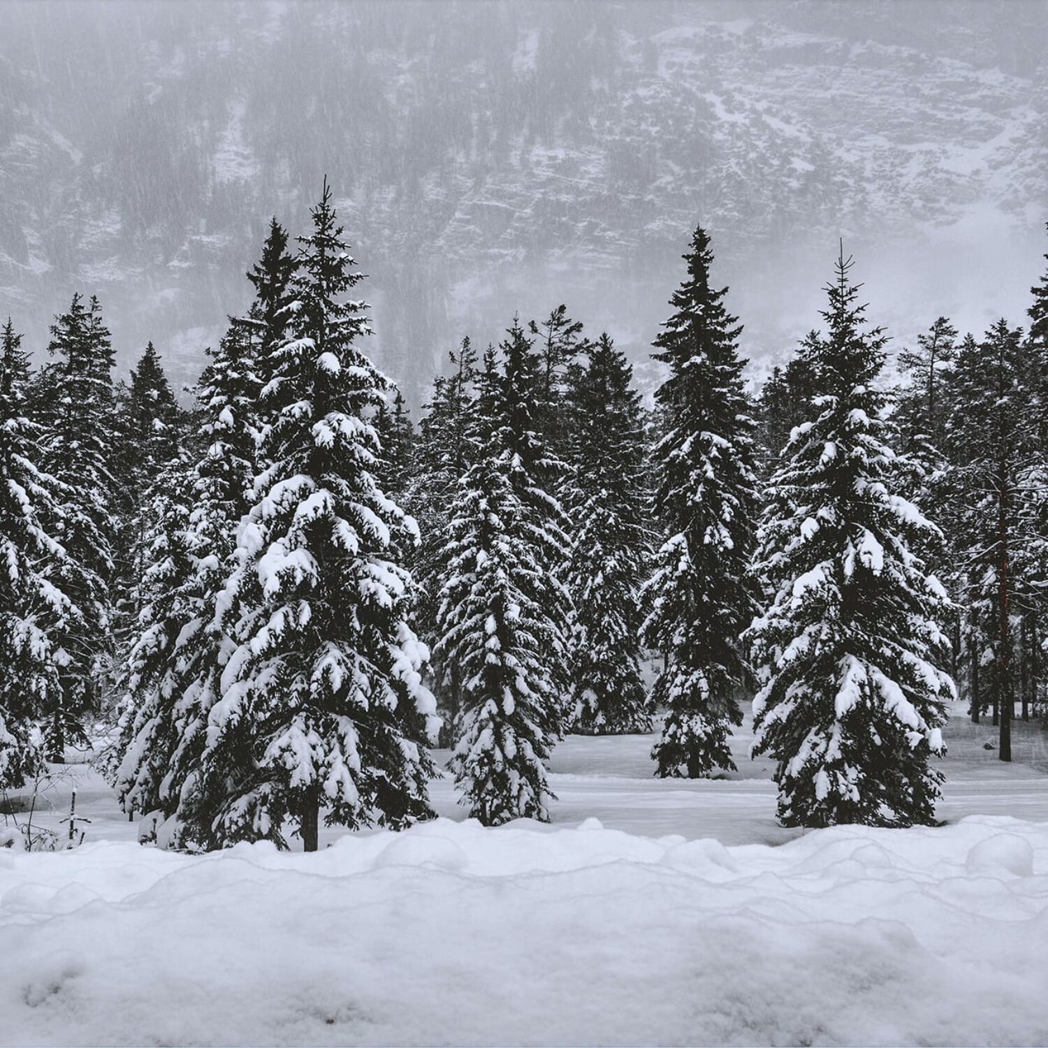 winter quotes Angie Weiland-Crosby